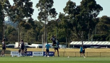 Pies pain: Collingwood captain, defender downed by same injury - AFL News