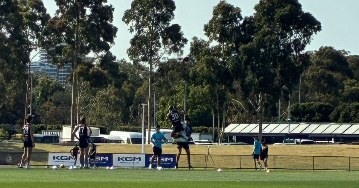 Pies pain: Collingwood captain, defender downed by same injury - AFL News