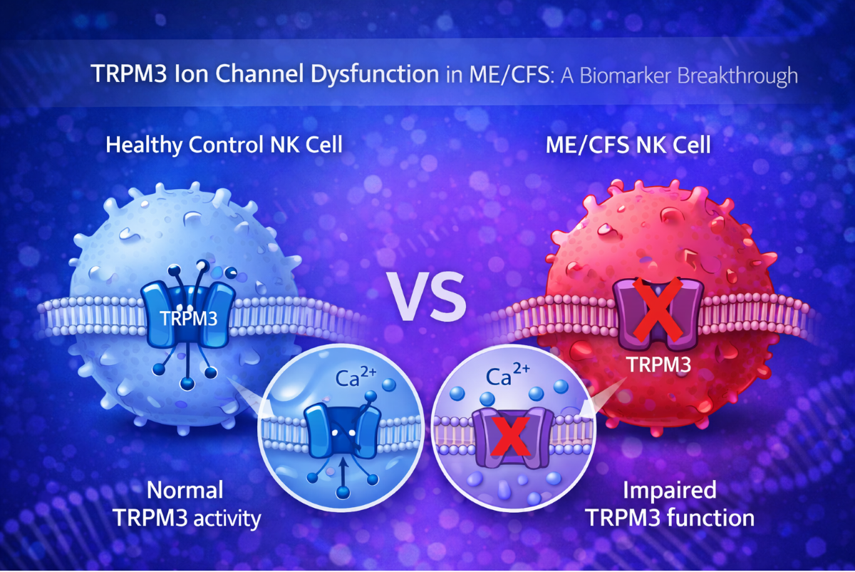 New research confirms people with ME/CFS have a consistent faulty cellular structure