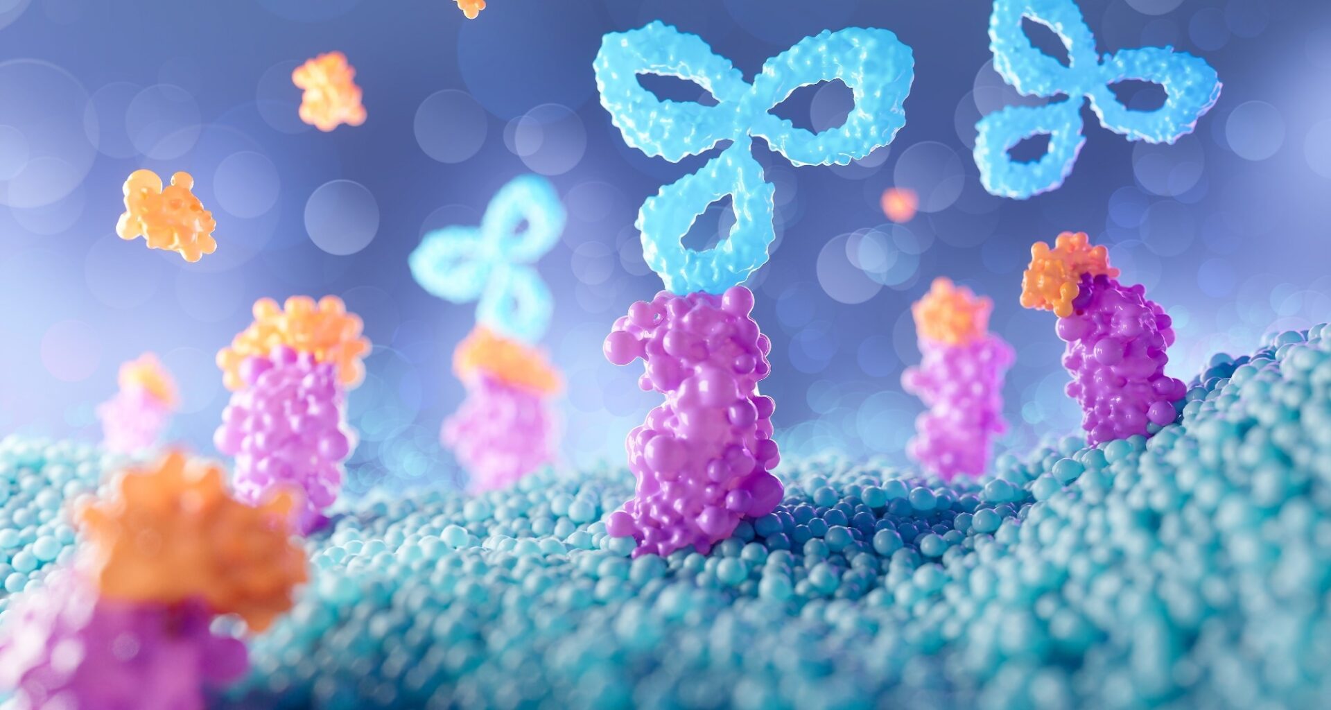 Genetics and environment distinctively shape the human immune cell epigenome