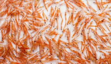 Study: Omega-3 Source Matters: Comparative Lipid Signatures and Quantitative Distribution of EPA/DHA Across Marine Resources. Image Credit: I. Noyan Yilmaz / Shutterstock