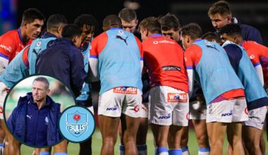 Ackermann slams media coverage on Boks coaches 'sharing ideas' with Bulls