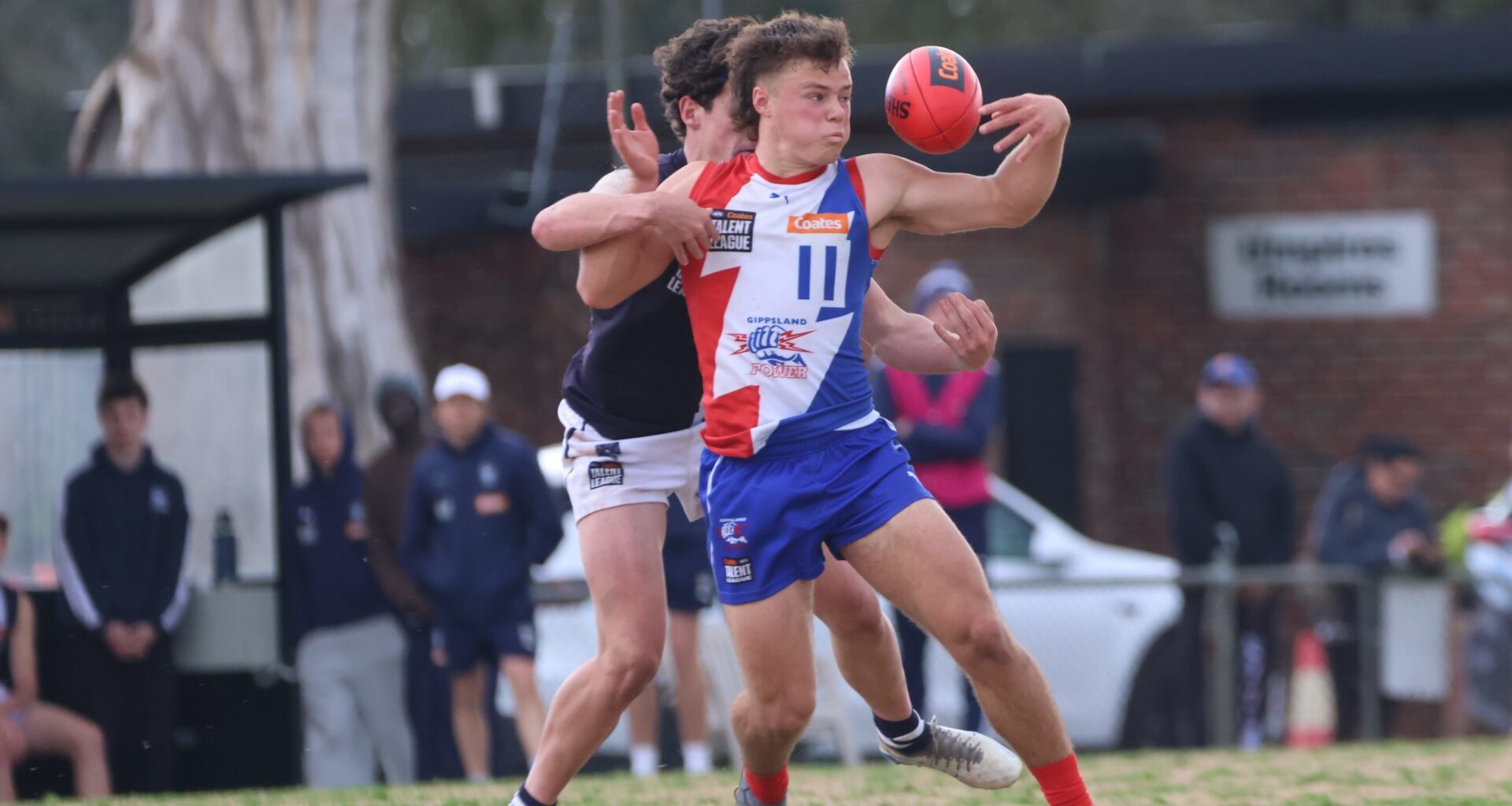 2026 AFL Draft spotlight: Gippy's gun crop