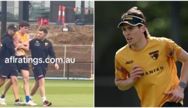 Hawthorn provide Will Day update - AFL News