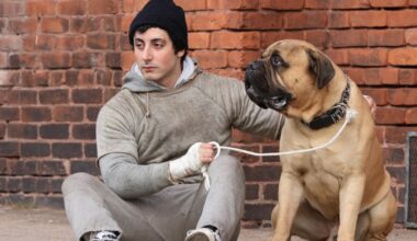 I Play Rocky Sets Release Date for Biopic on Sylvester Stallone Boxing Film