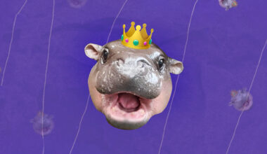 Can Moo Deng, the viral pygmy hippo, save her species? 