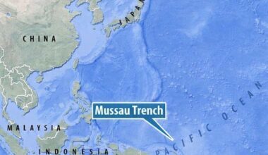 Brighter Side of News