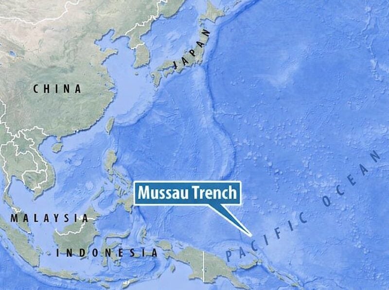 Brighter Side of News