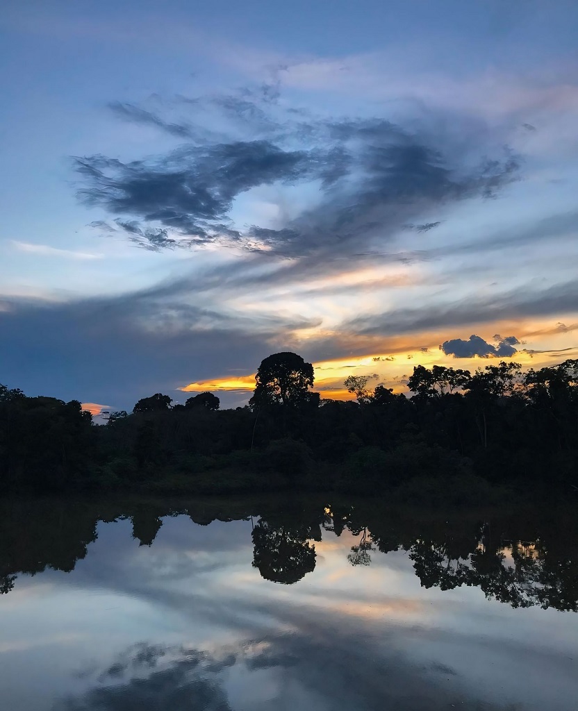 Altamira National Forest along the bank of the Xingu River.