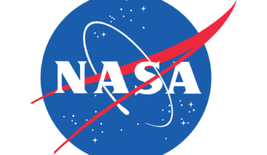 Protostar EC 53 in the Serpens Nebula (NIRCam Image)