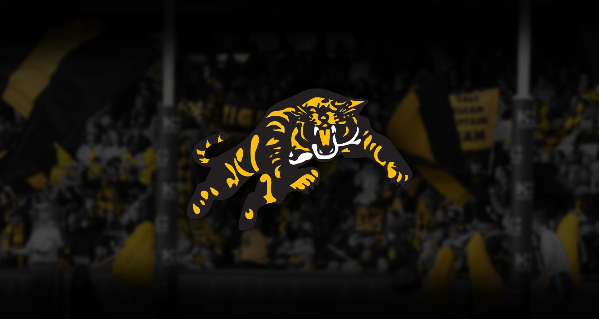 2025 AGM Notice - Glenelg Football Club