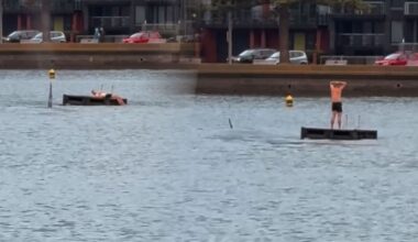 Orca surround swimmer on pontoon at Wellington’s Oriental Bay