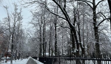 Is the third Monday of January truly the saddest day of the year? - CTV News