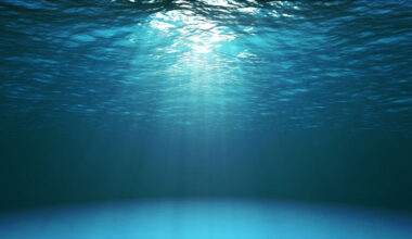 Dangerously alive: summer, sharks and a ritual encounter with danger