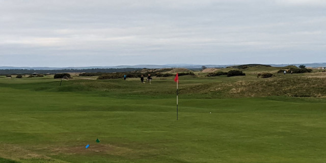 Temporary greens ruin the experience of playing golf