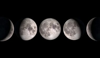 A NASA graphic showcasing the phases of the moon.