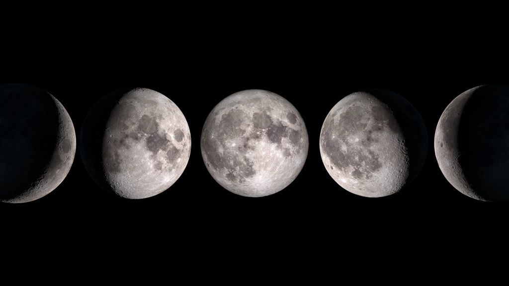 A NASA graphic showcasing the phases of the moon.