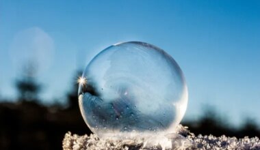 transparent ceramics