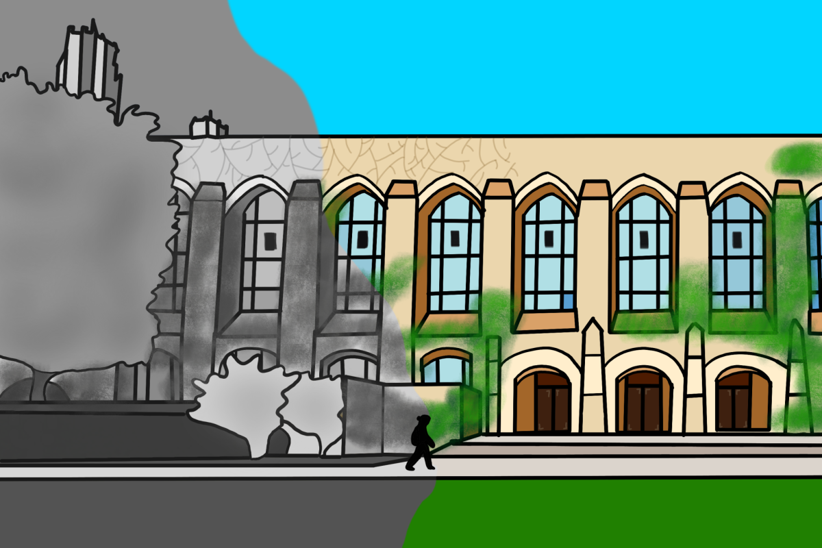 Student walks from dark, wintery side of library to green side of library.