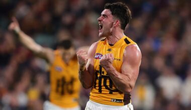 Skipper surprise as Hawks opt for co-captains