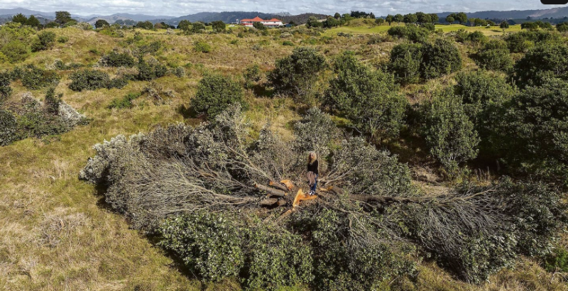 NZ: Turning a Mistake into a Legacy: The Ōhope Beach Golf Links Restoration