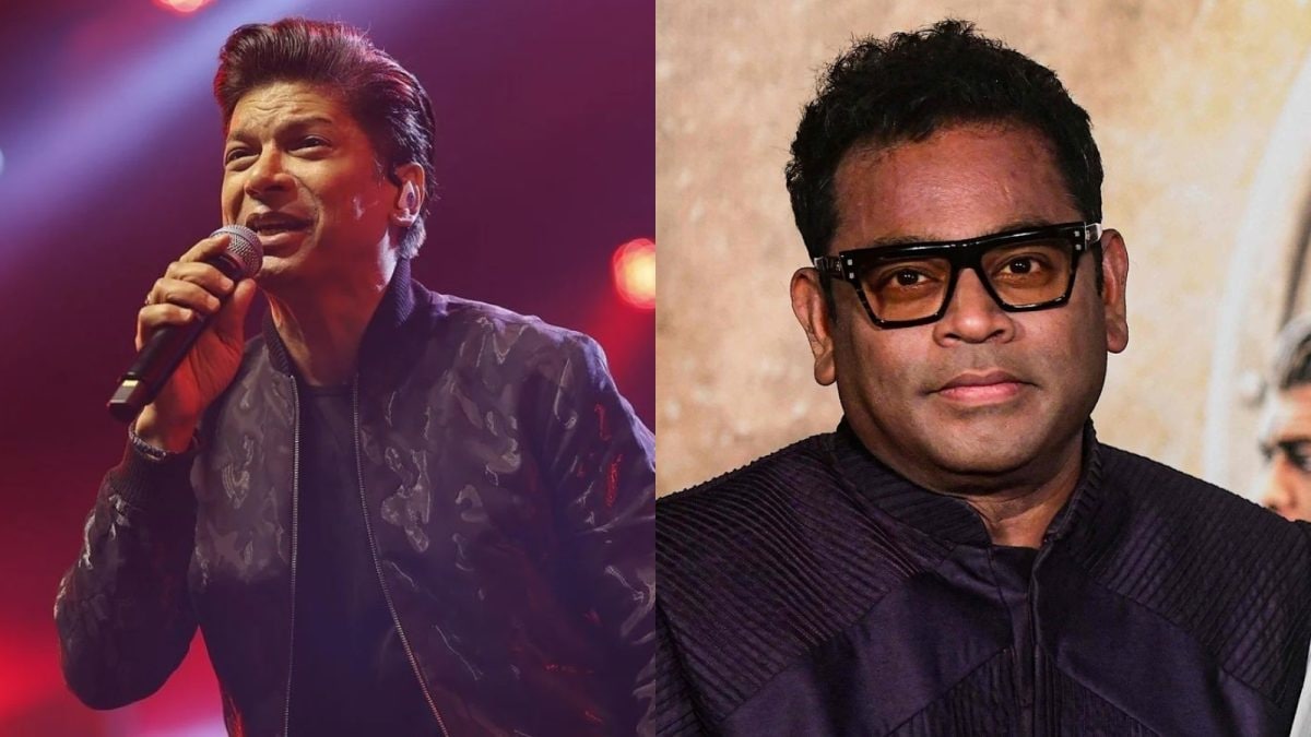 'Music Does Not Work That Way': Shaan Reacts To AR Rahman's Not Getting Work Comment | Bollywood News
