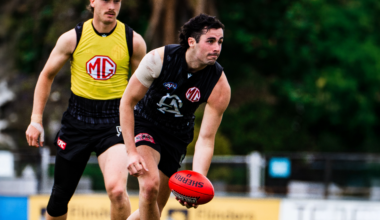 Sinn talks pre-season and fluffy new recruit