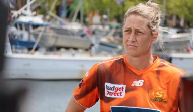 Call for a bit of Devine intervention in cricket rules