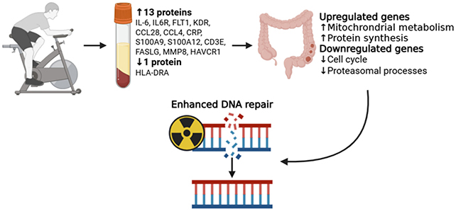 Cancer study graphic