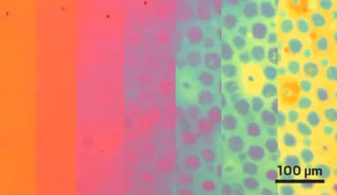 Polymer film changes texture and color on demand