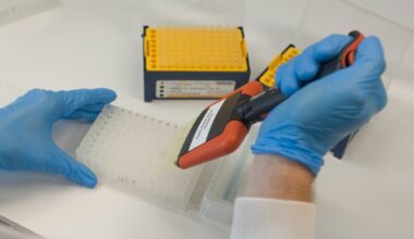 TB harnesses part of immune defence system to cause infection