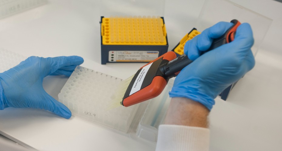 TB harnesses part of immune defence system to cause infection