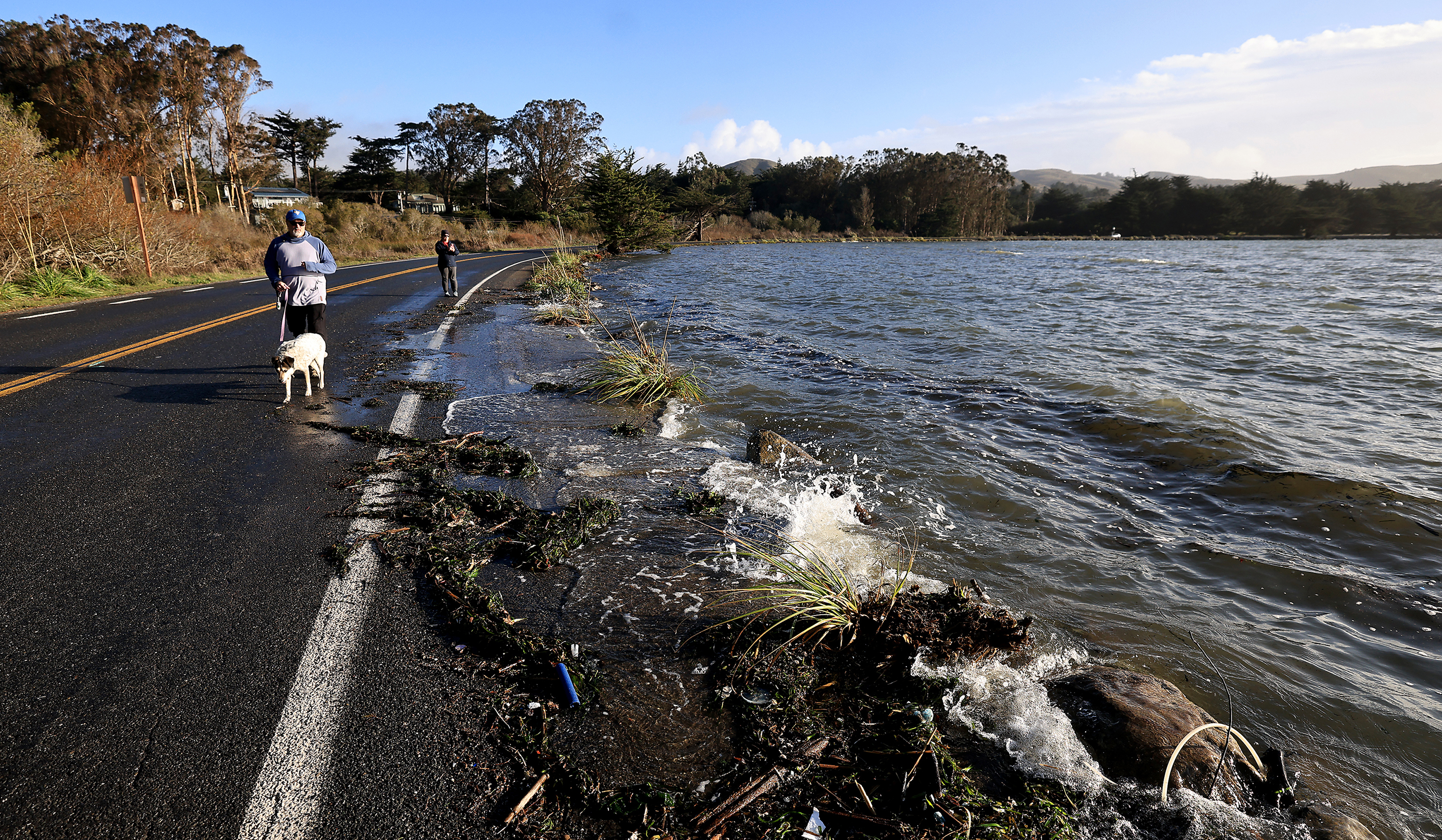Mike McCalmond and wife Loretta take their dog Bodega for...