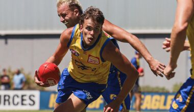 Mid-season rookie a must, keep tabs on star mid