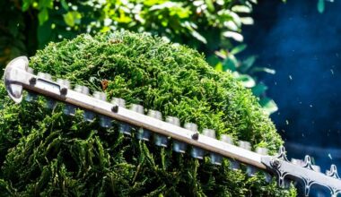 Pfizer trims its pan-KRAS efforts | ApexOnco