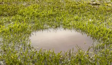 Remove the need to run from Gaelic football and my enjoyment will be complete – The Irish Times