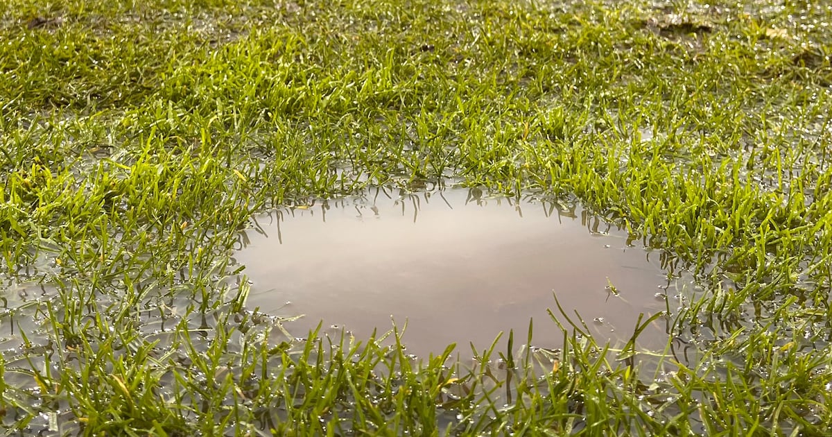 Remove the need to run from Gaelic football and my enjoyment will be complete – The Irish Times