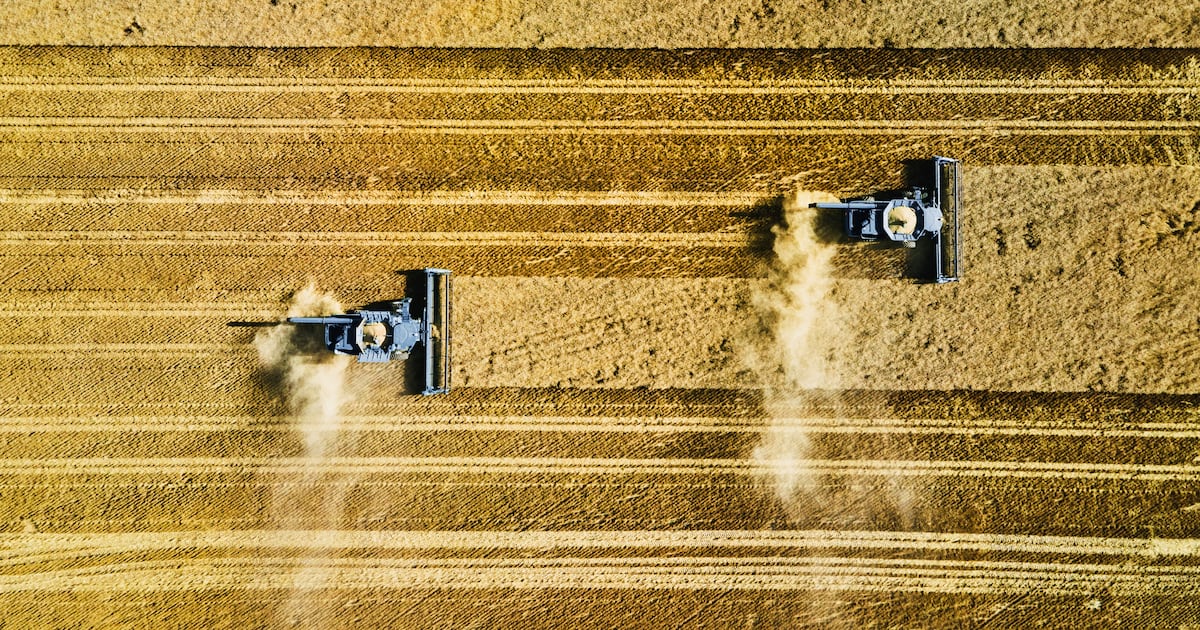 The most talked about start-ups of 2025