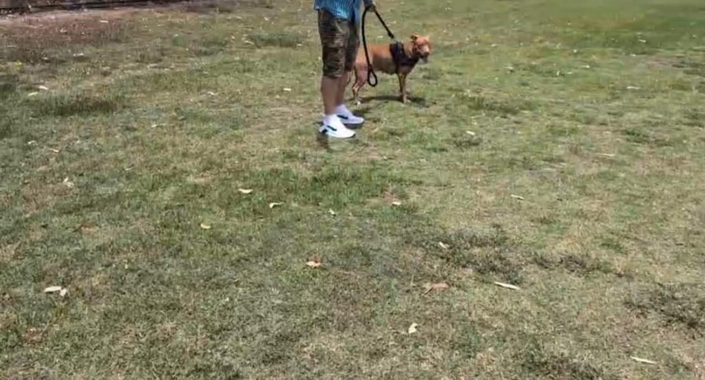 WhatsApp Image 2026 01 20 at 4.01.59 AM 1