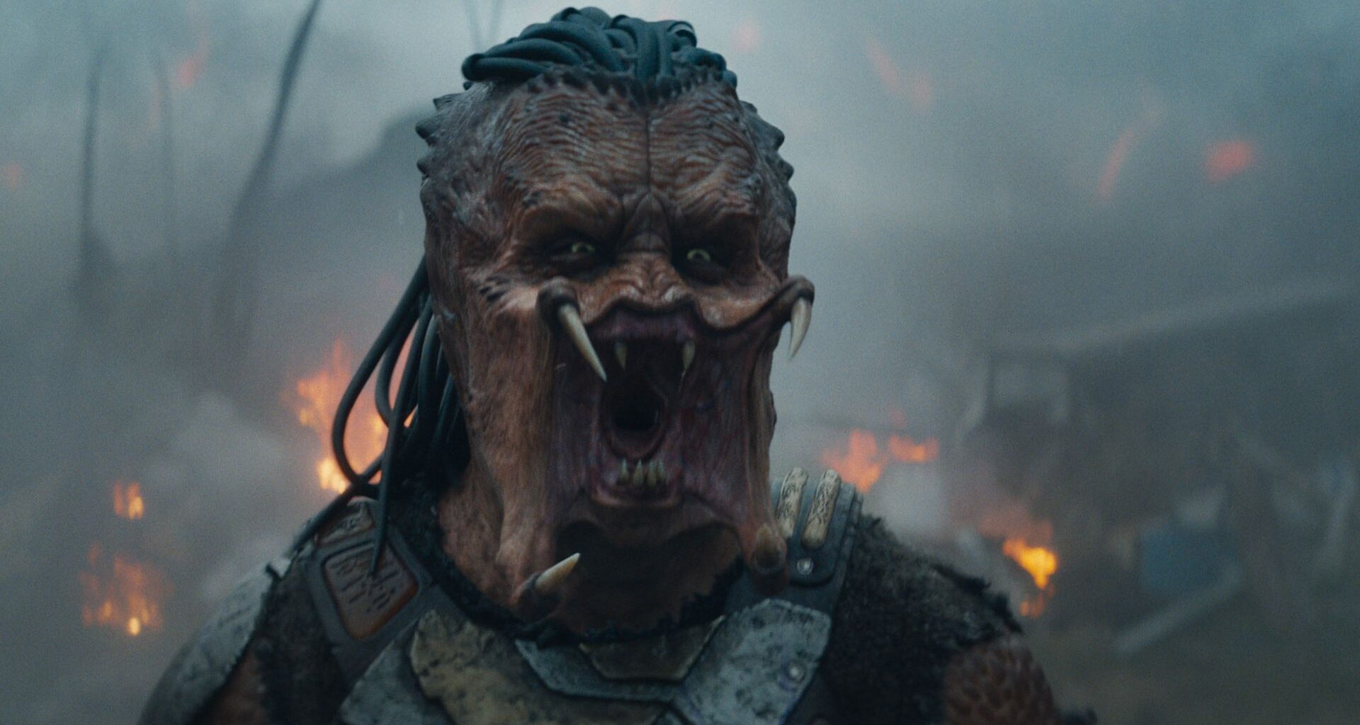 How to watch 'Predator: Badlands' at home digitally ahead of its February 4K Blu-ray release