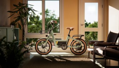 Segway Muxi in living room