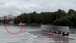 A suspected bull shark leapt from the water metres from students on the river.