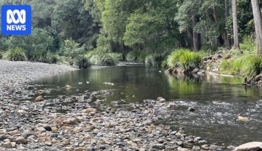 Two men dead after drowning in Never Never River north of Bellingen