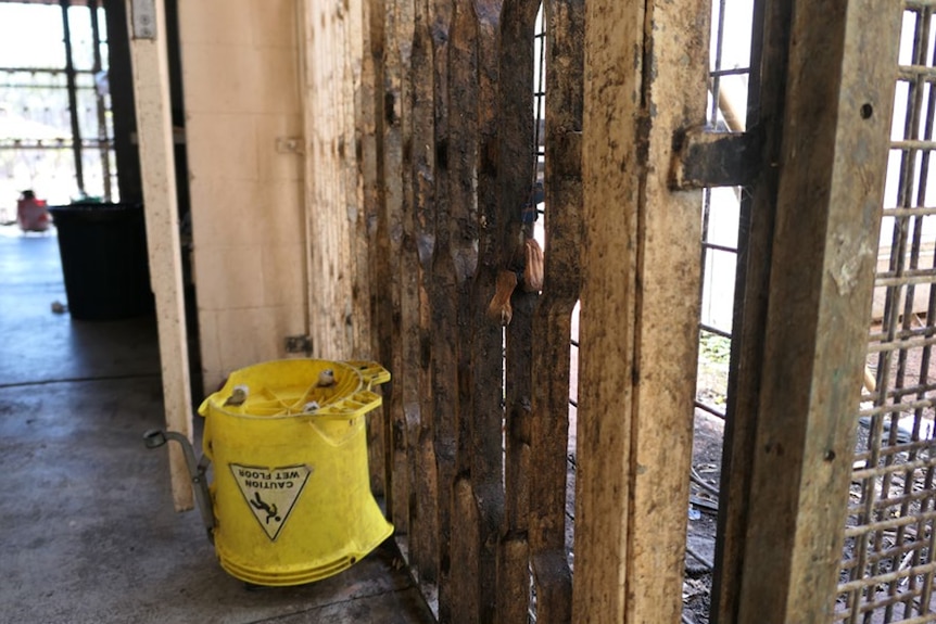 Grills outside coated in grime and used teabags.