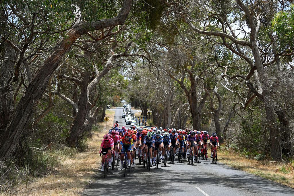 TORQUAY, AUSTRALIA - JANUARY 29: A general view of the peloton passing through a landscape during the 2nd Surf Coast Classic 2025, Women's Elite a 118.6km one day race from Lorne to Torquay on January 29, 2025 in Torquay, Australia. (Photo by Dario Belingheri/Getty Images)