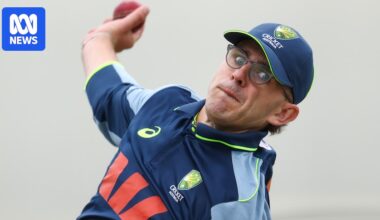 Australia urged to back spinners after Todd Murphy's omission from fifth Ashes Test