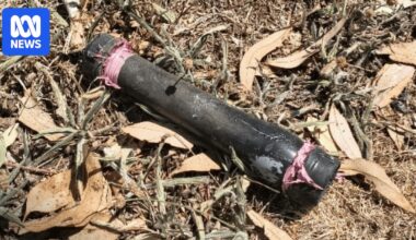 Four more pipe bombs found in north-west Canberra as police investigation continues