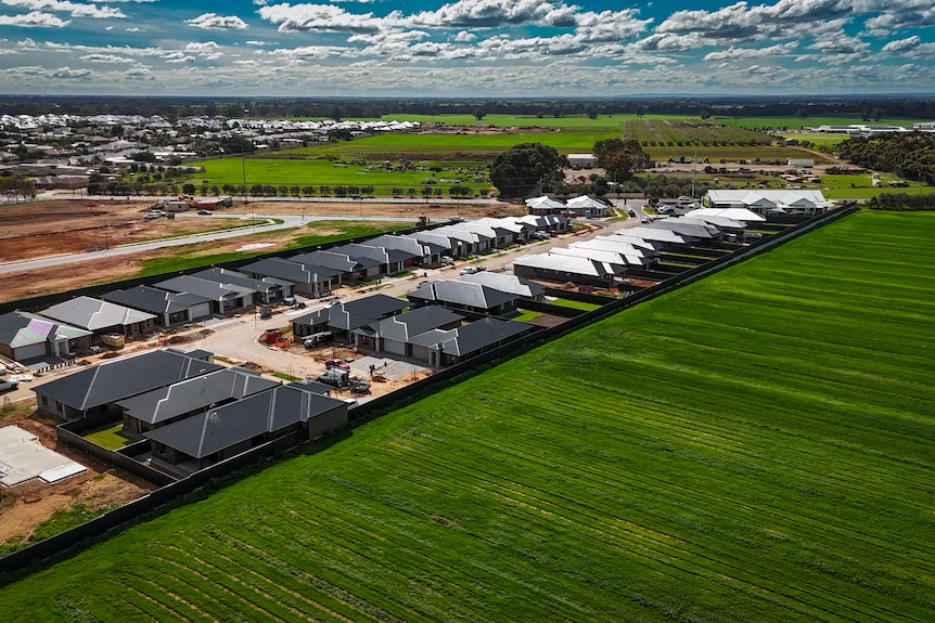 A drone shot of rows of newly built houses next to green land.