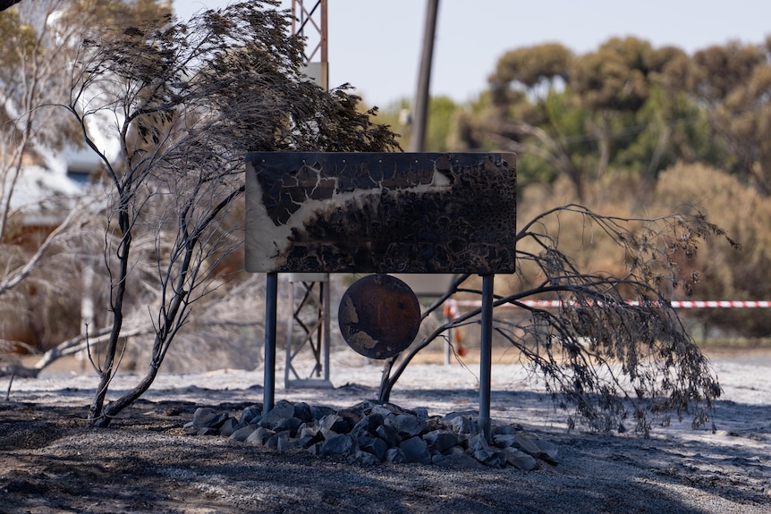 A burnt and blackened sign stands next to burnt trees surrounded by ash on the ground.