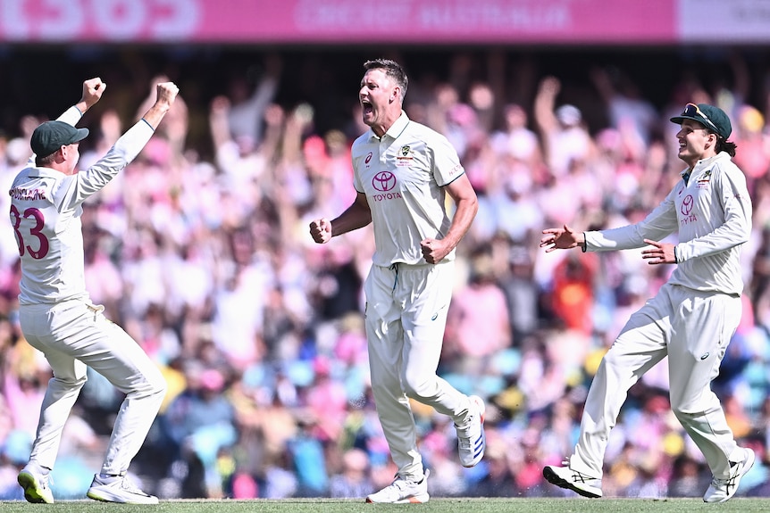 An Australian Test bowler shouts and pumps his fists in celebration as his teammates run towards him after a wicket.